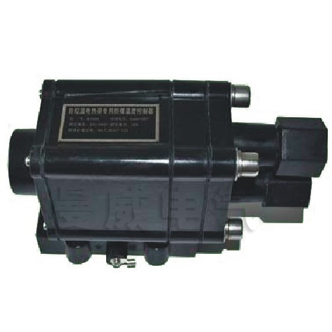 16563008395194.jpg 防爆溫度控制器