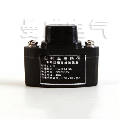 16570739018955.jpg 防爆終端接線盒BHZ.jpg