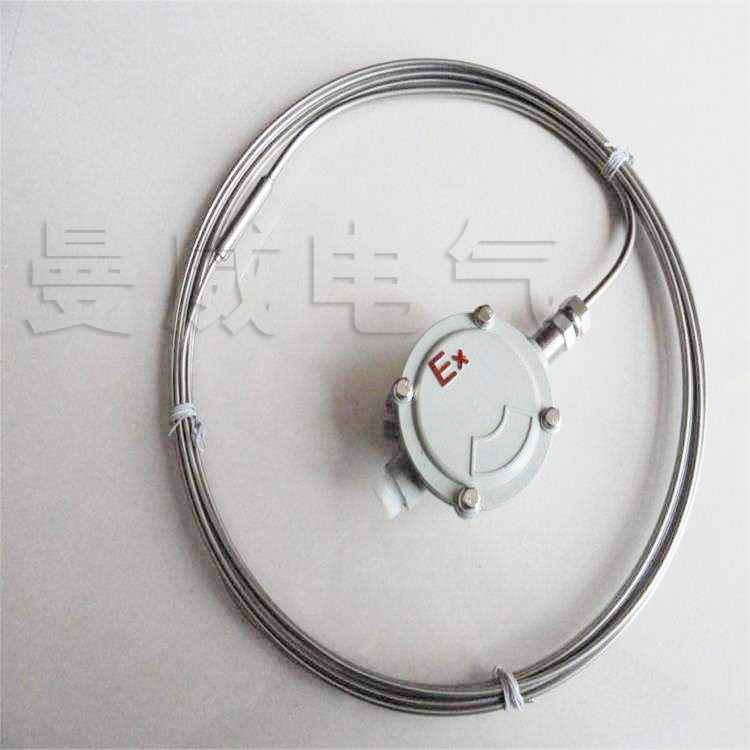 16704847858988.jpg 825合金護(hù)套MI加熱電纜.jpg
