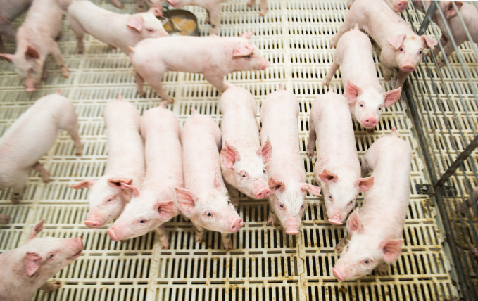 16847195444028.png 1647228087(1).png