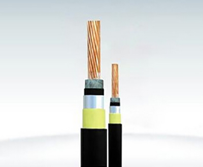 16982880897055.jpg 耐火電纜NH-VV-NH-VV22.jpg